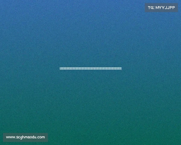 国内的赛车赛事—国内顶尖赛车赛事中国汽车场地锦标赛火热开赛各路精英车手争抢冠军宝座